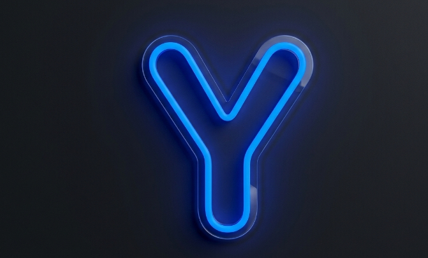 Letter Y | Neon Lighting